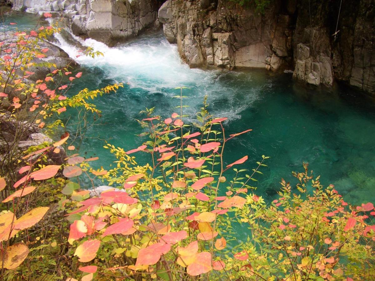 阿寺温泉 フォレスパ木曽あてら荘 Hotel Okuwa Luaran gambar